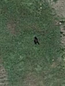 Bigfoot From Space